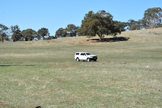 A spacious white SUV ready for a family road trip on a sunny day.