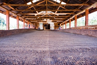 Image depicting the assembly process of a garden building.