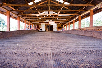 Close-up of advanced drying equipment in action to restore structural integrity.