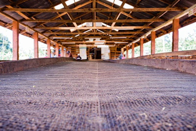 Close-up of advanced drying equipment in action to restore structural integrity.