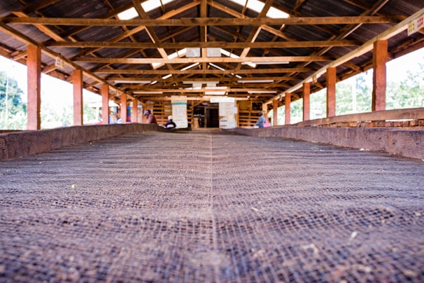 Image showing the drying process in wood treatment.