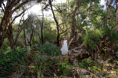 A young girl in a white dress stands on a fallen tree trunk amidst a dense forest. Sunlight filters through the thick canopy of trees, casting patches of light and shadow on the forest floor. The surrounding vegetation is lush with ferns and underbrush.