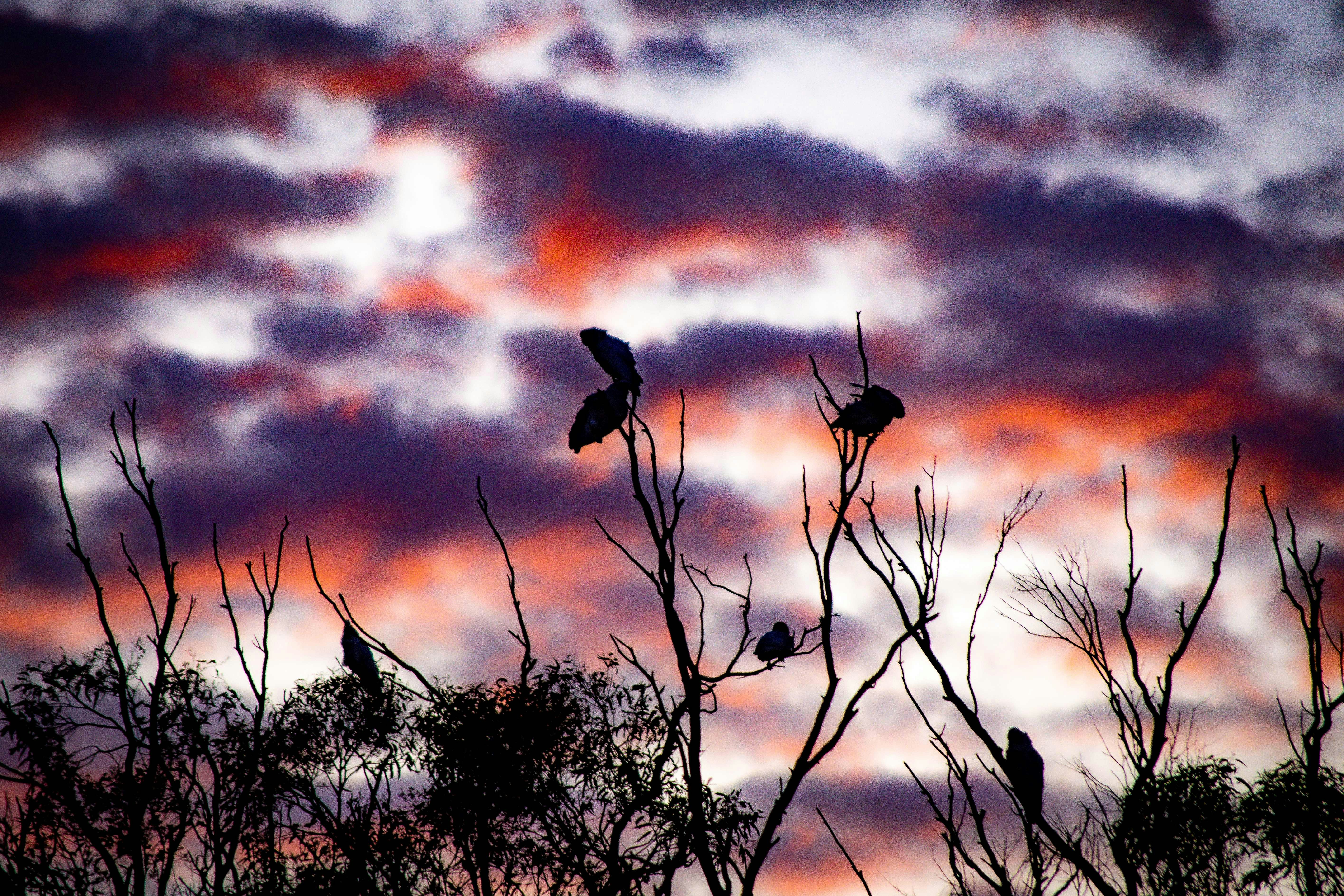 Photo by jessicadonnelly