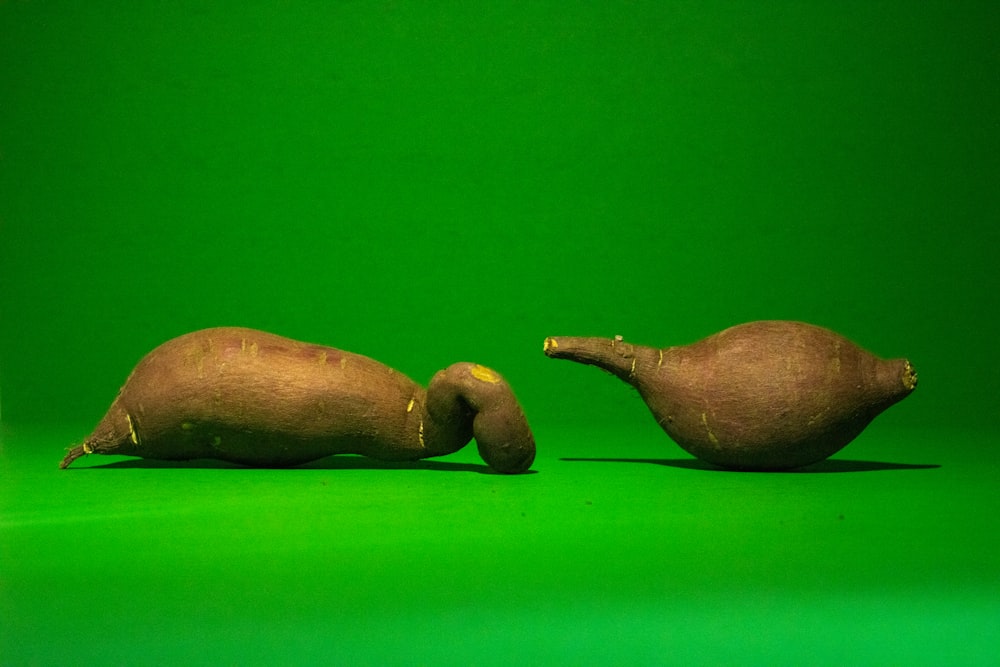 a couple of stuffed animals sitting on top of a green background