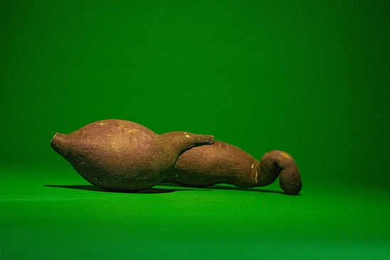 A pair of irregularly shaped brown sweet potatoes lies on a smooth green surface with a matching green background. The lighting creates subtle shadows around the sweet potatoes, highlighting their texture and unique form.