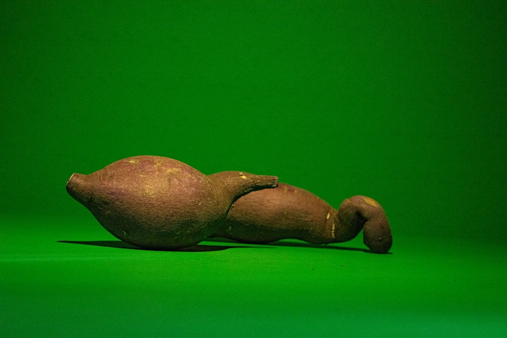 a potato laying on its side on a green background