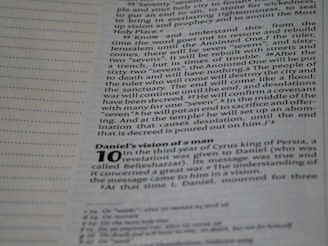 A close-up view of a Bible page with text focusing on verses from the book of Daniel. The text is in English and includes subheadings and verse numbers. Part of the text is bold, specifically the number 10 at the beginning of a new section titled 'Daniel's vision of a man'. The background of the page is white, and the text is printed in black, with some annotations in the form of small superscript letters.