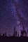 a night sky filled with stars and trees