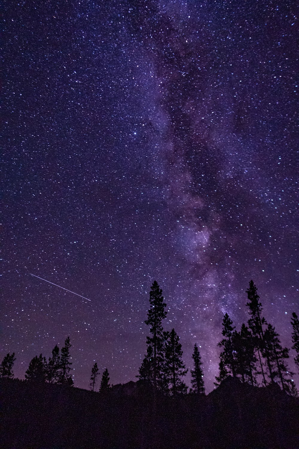 a night sky filled with stars and trees