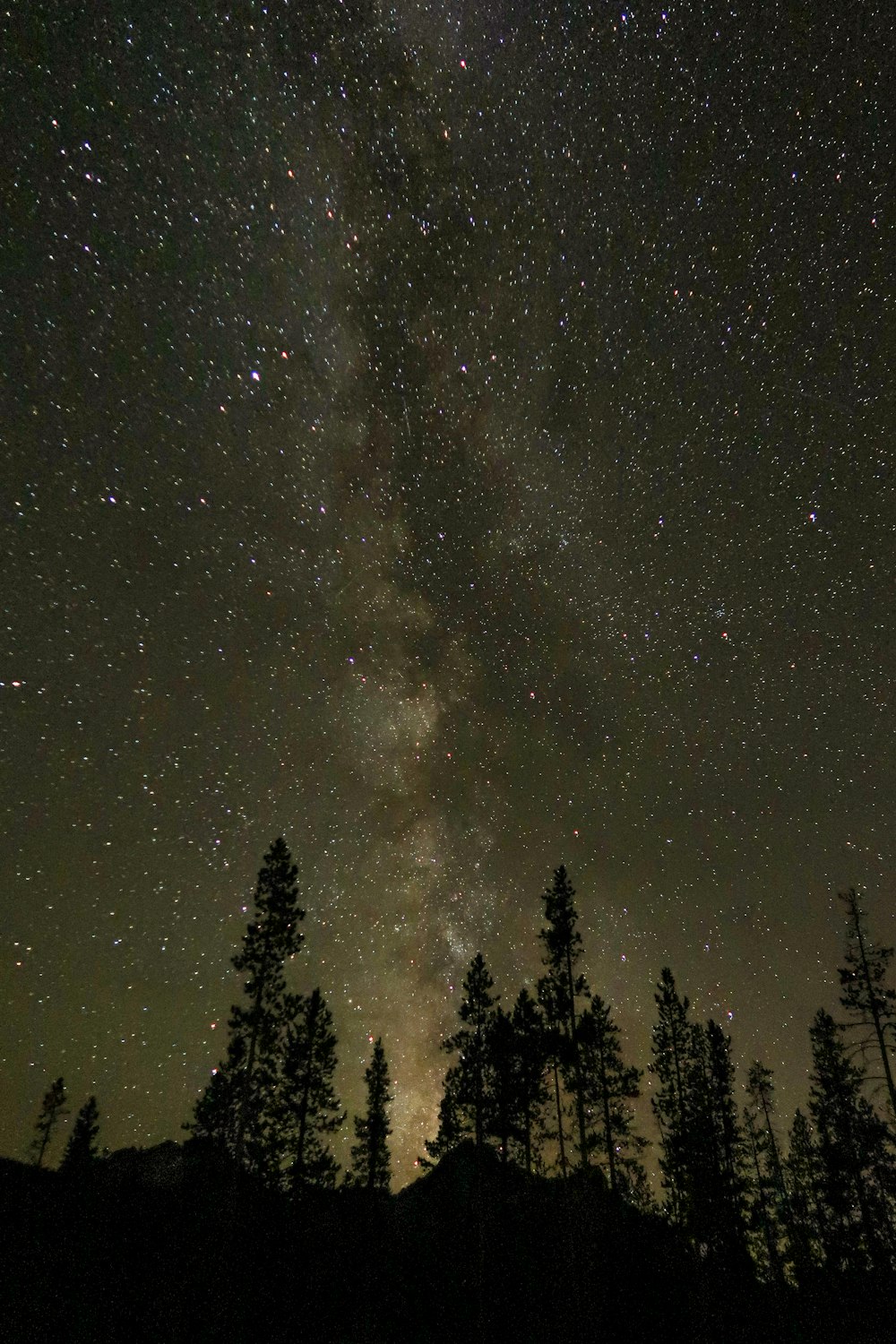 the night sky is filled with stars and trees