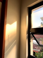 Sunlight streaming through a window highlighting a clean, mold-free wall after treatment.