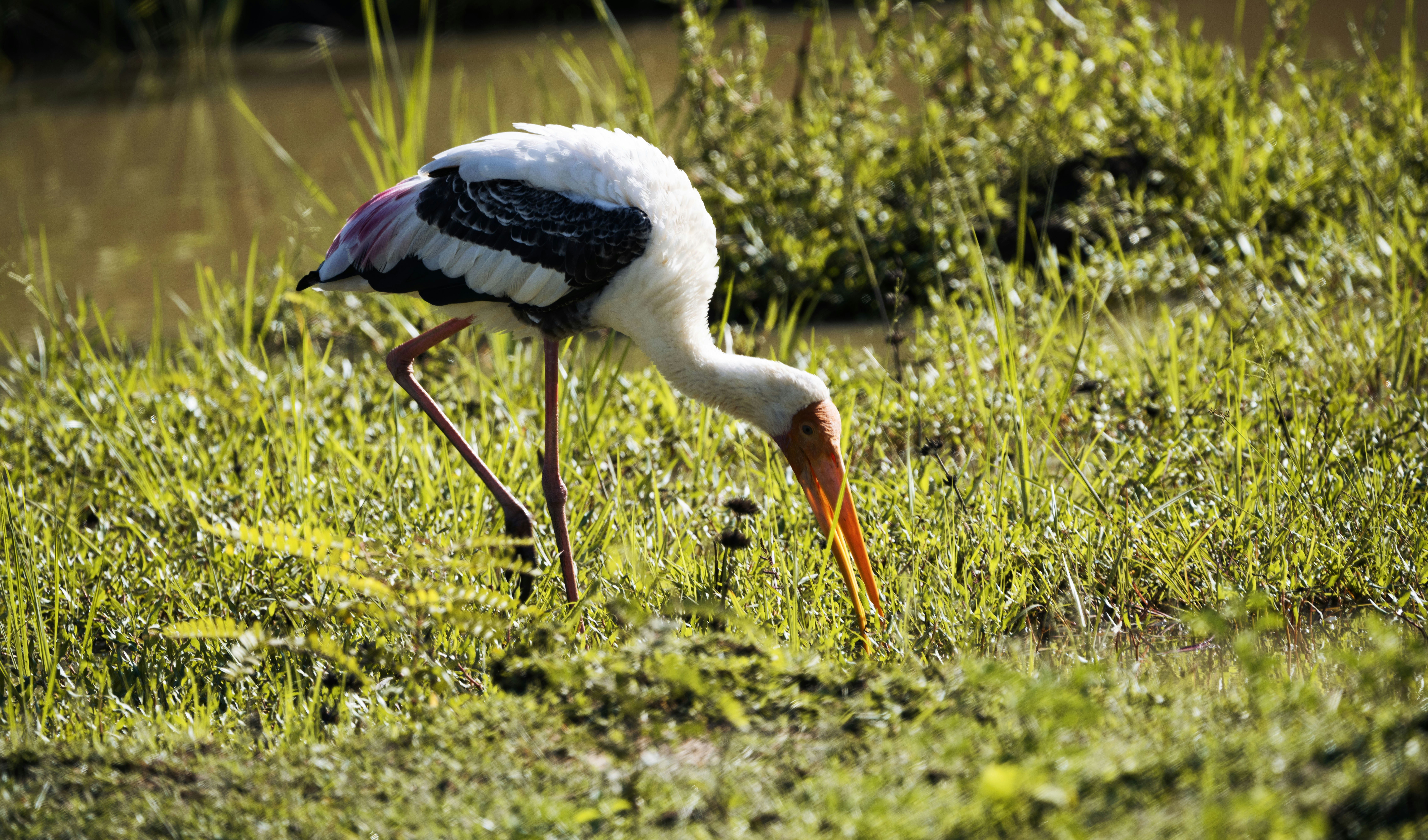 Photo by mhphotography13