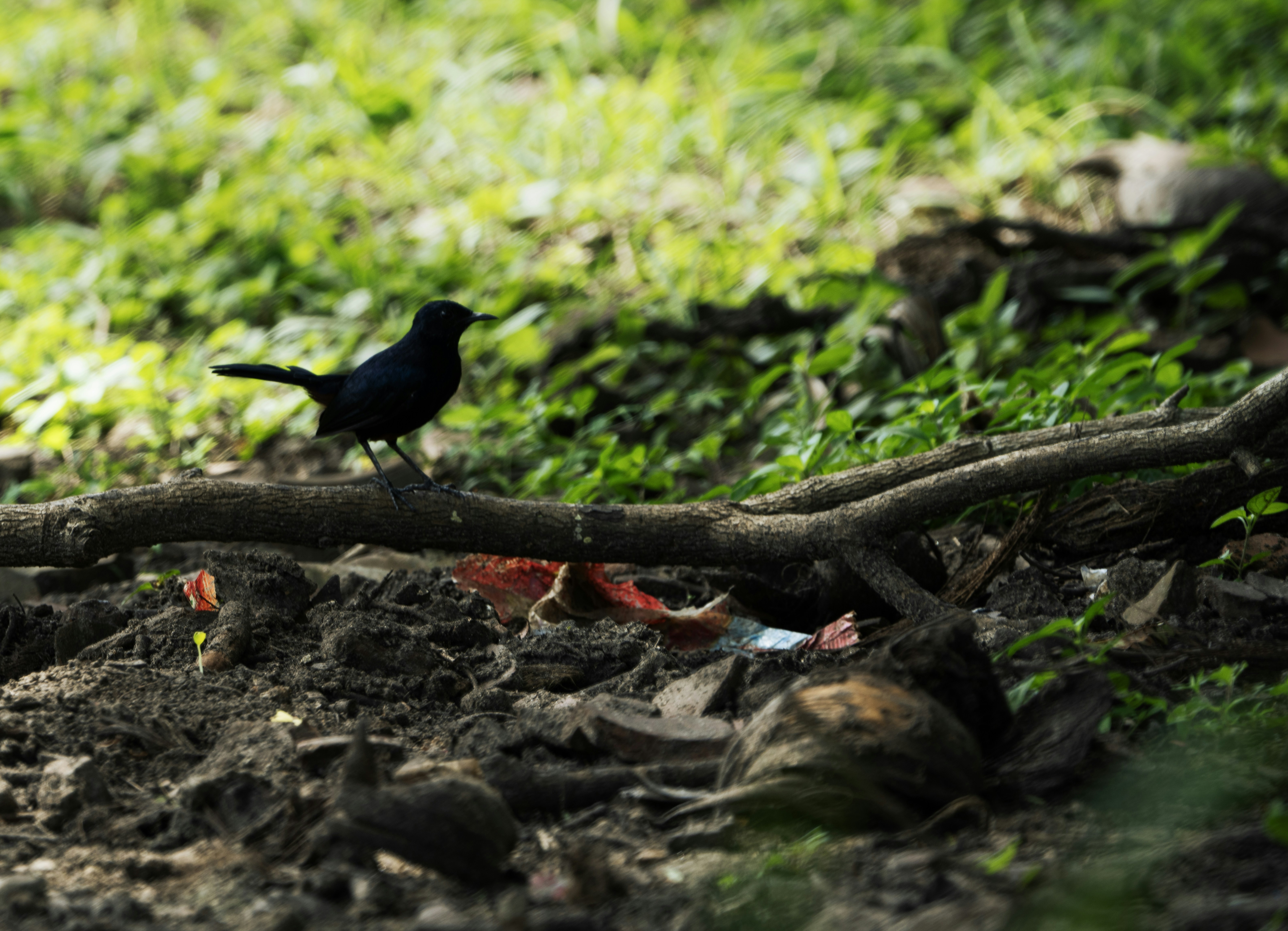 Photo by mhphotography13