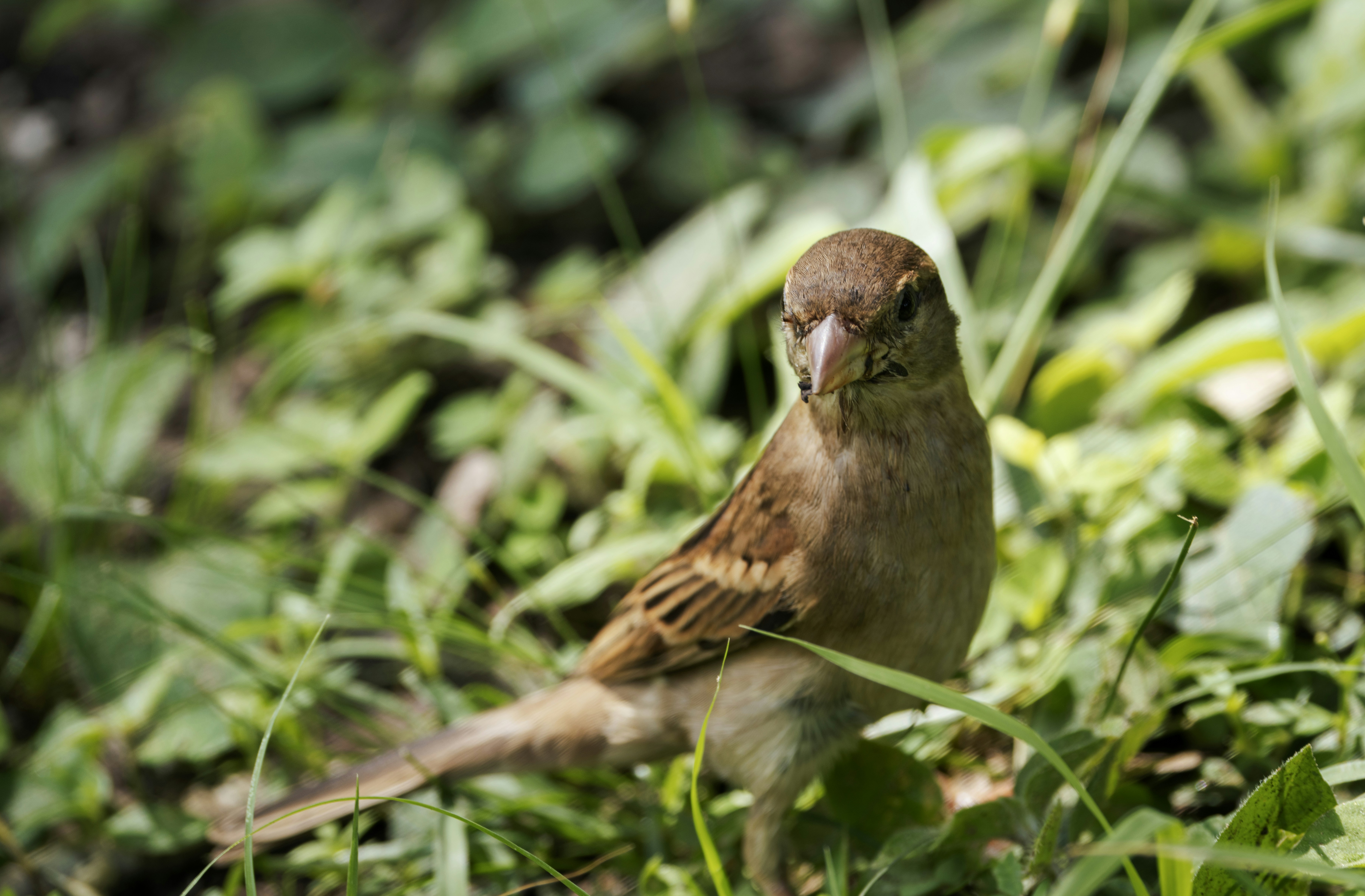 Photo by mhphotography13