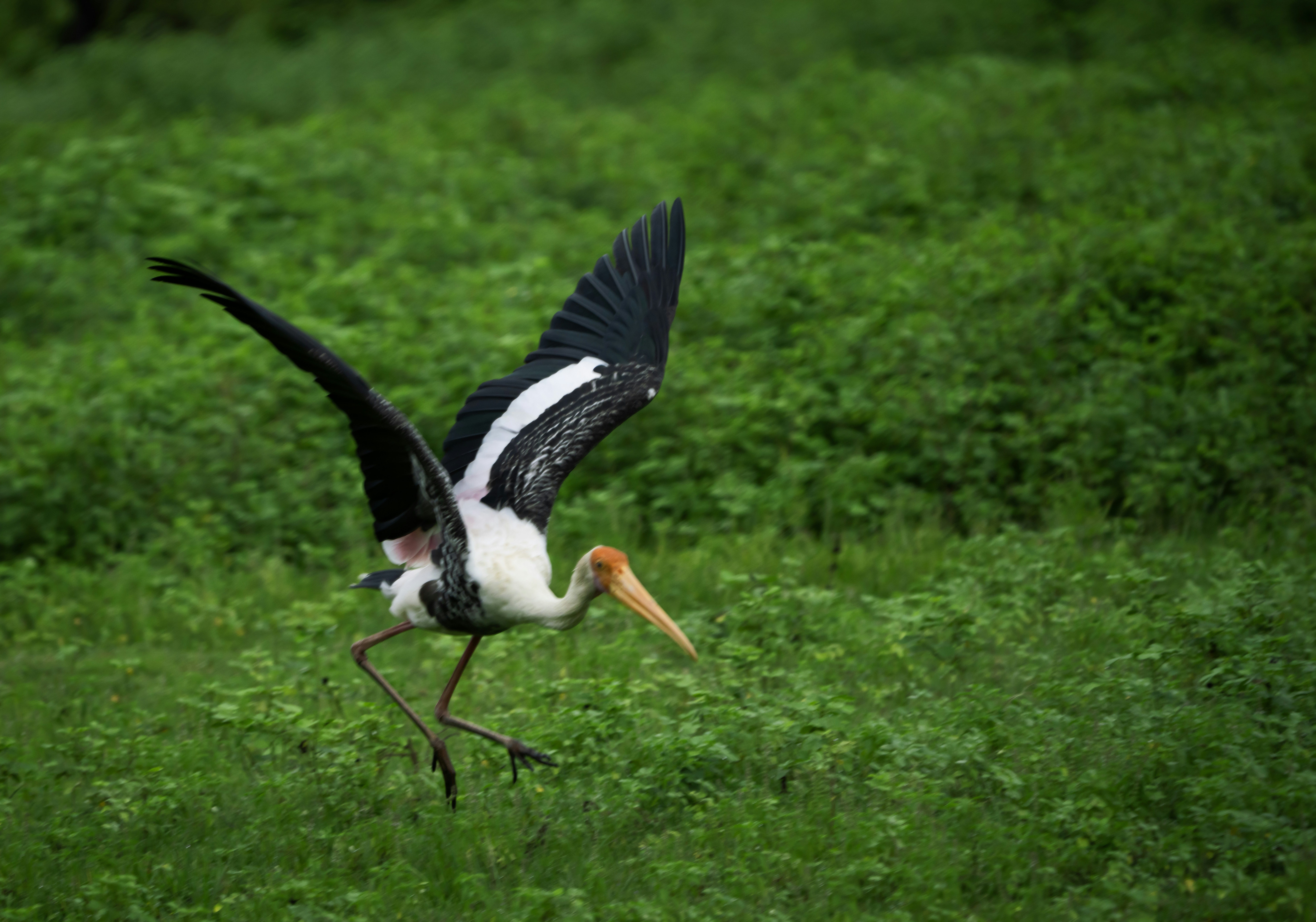 Photo by mhphotography13