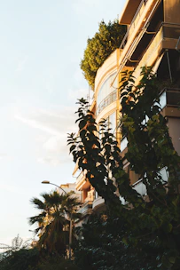 Modern apartment building with greenery and sunlight in the background.