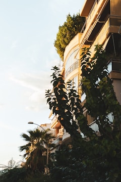 A modern apartment building partially covered by greenery in the foreground, with the setting sun casting warm light on the structure. Tall trees and plants, including a palm tree, add to the urban greenery, while a clear sky is visible above.