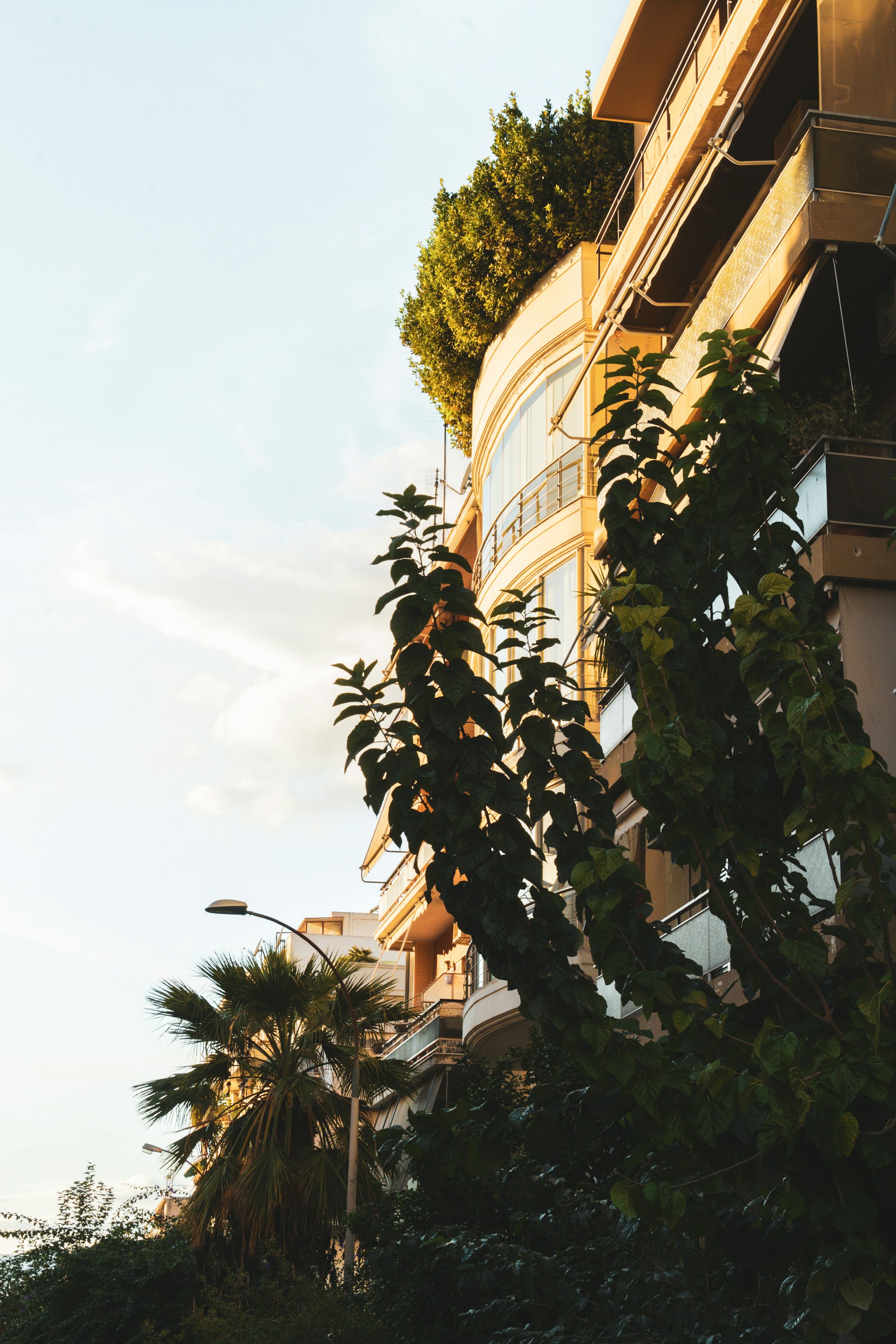 black and brown leather padded tub sofa