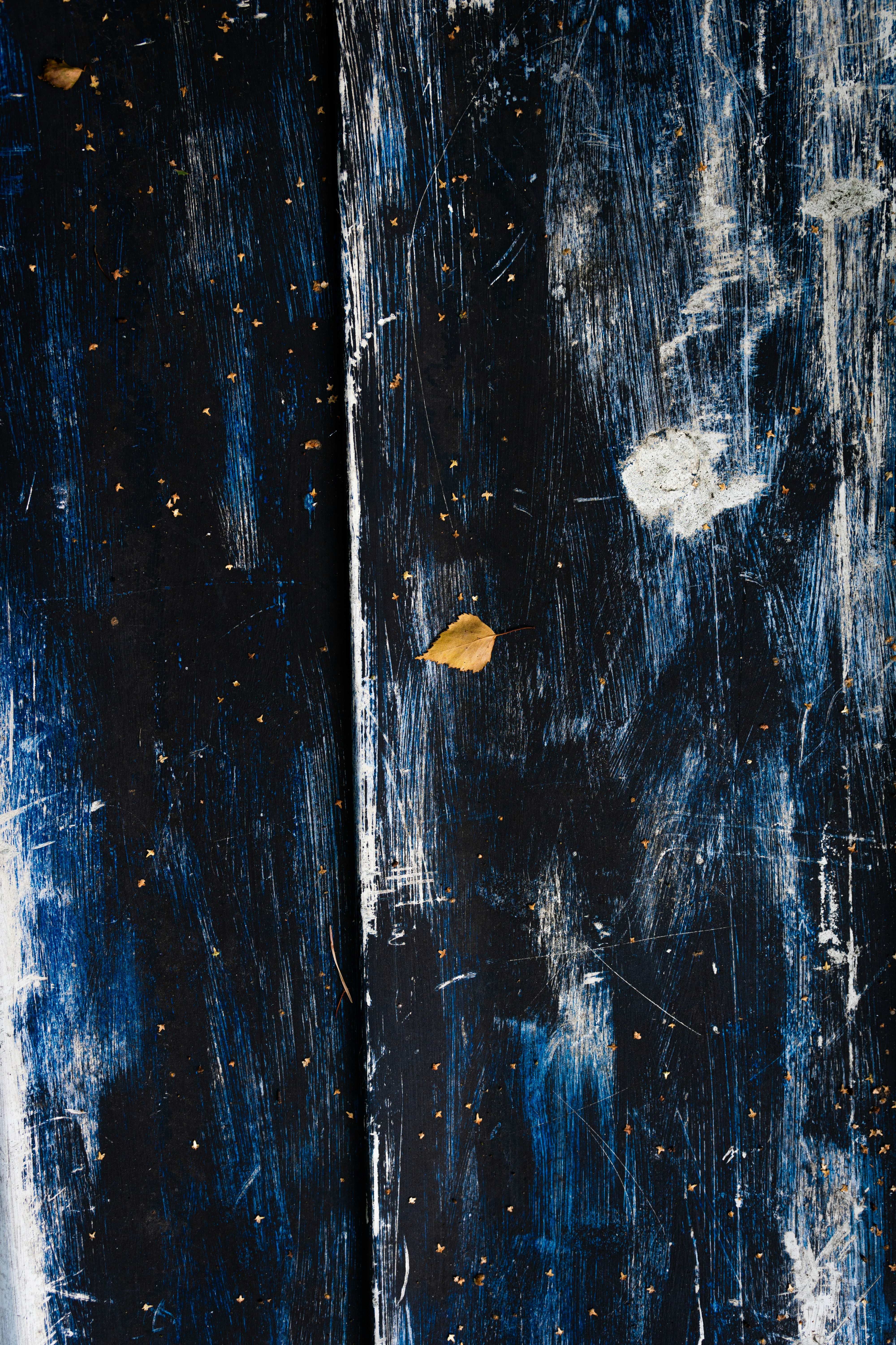 黄色い葉っぱが描かれた黒いドア