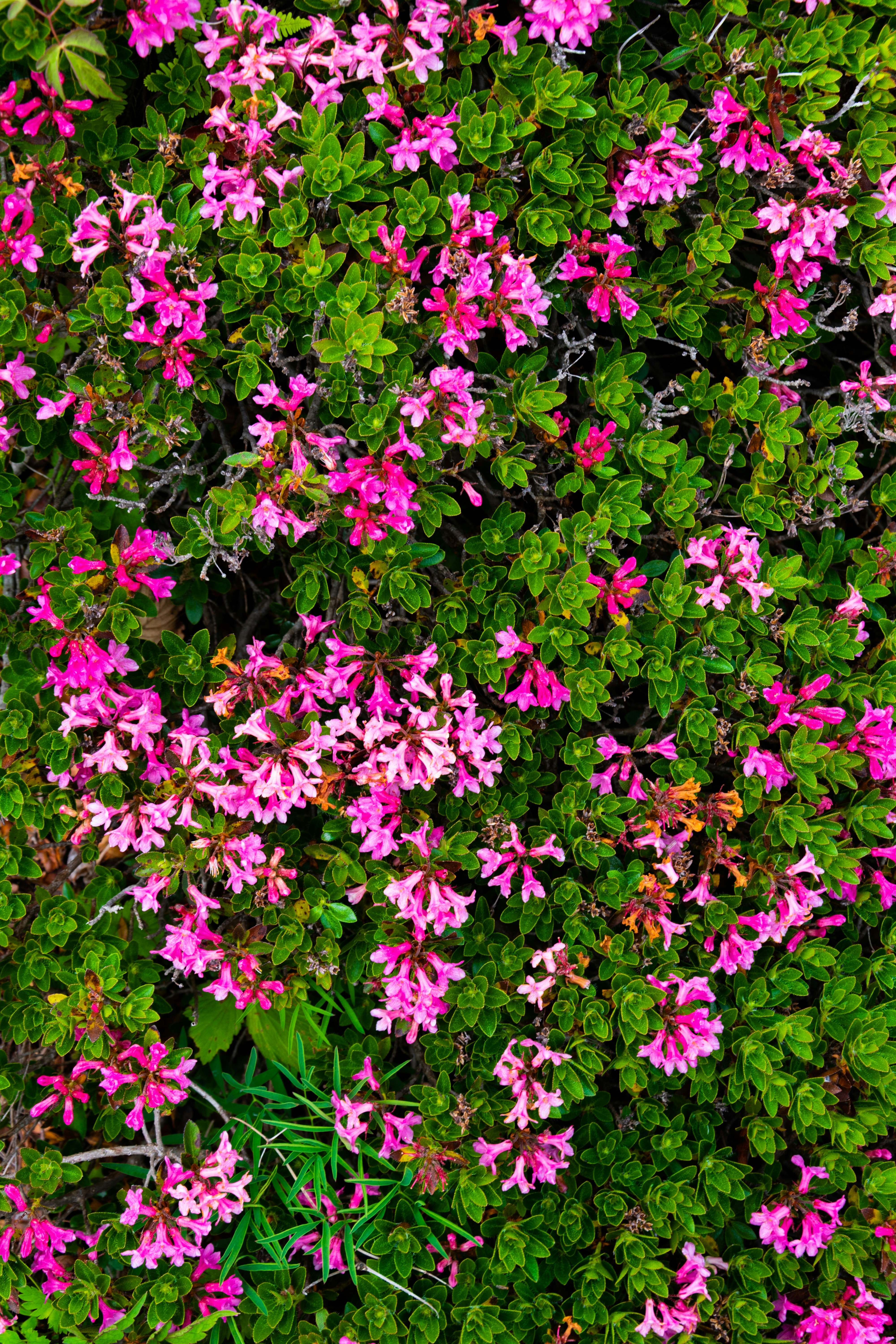 Photo by jonah_loeffler