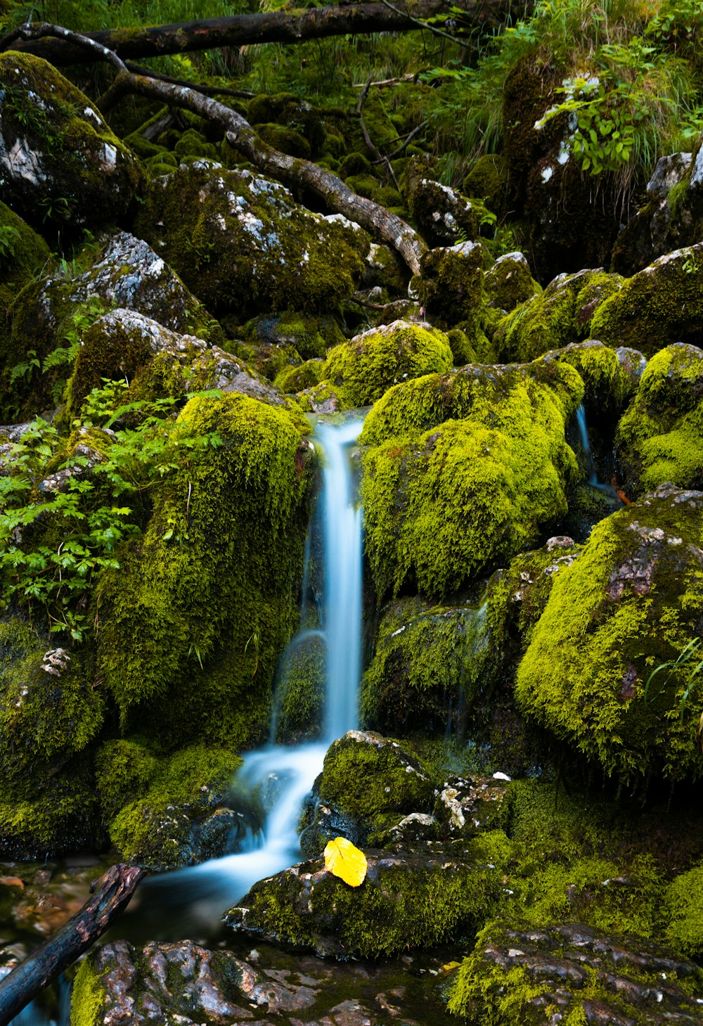 a small waterfall surrounded by green mossy rocks