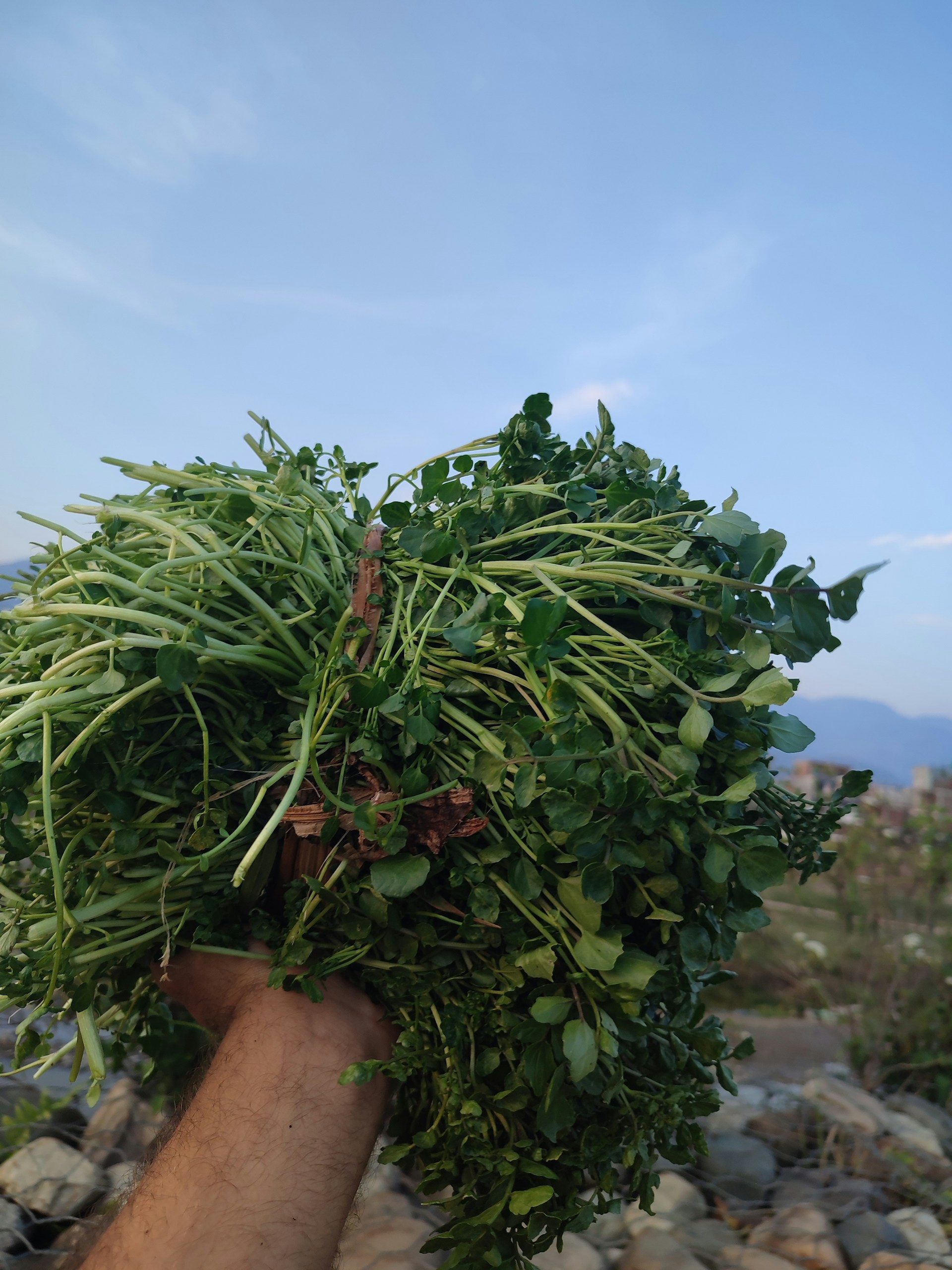 woman wearing yellow long-sleeved dress under white clouds and blue sky during daytime