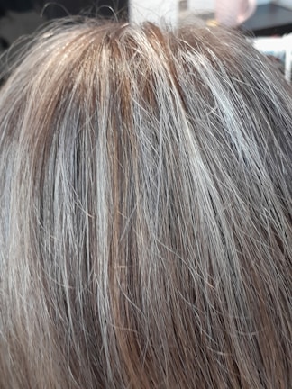 A close-up view of human hair with shades of brown and gray, showcasing the texture and mix of colors in the strands.
