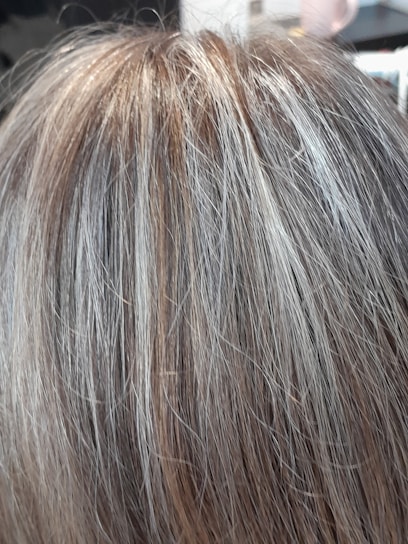 A close-up view of human hair with shades of brown and gray, showcasing the texture and mix of colors in the strands.