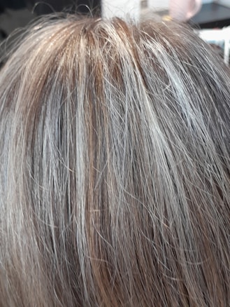 A close-up view of human hair with shades of brown and gray, showcasing the texture and mix of colors in the strands.