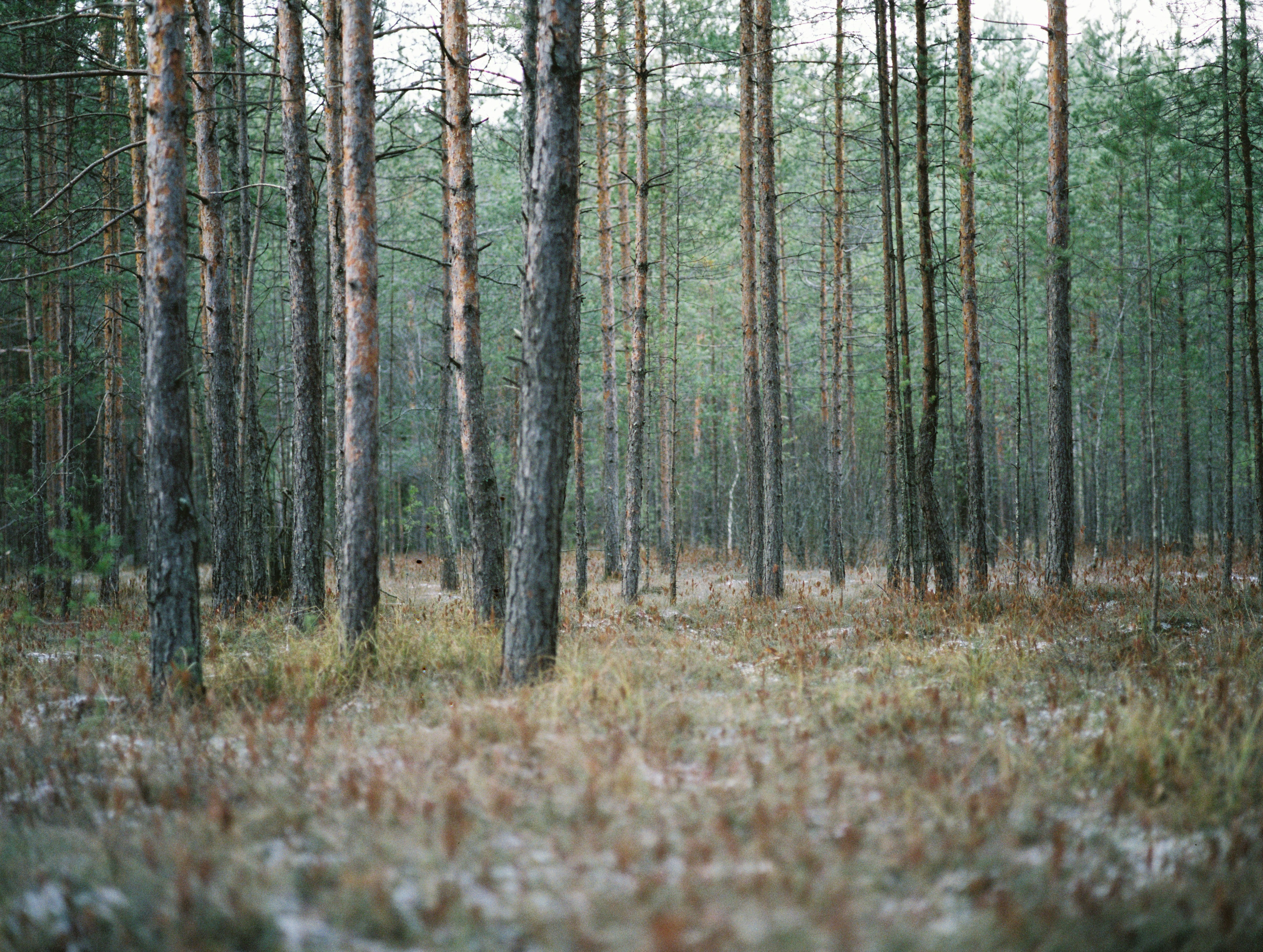 Photo by evil_bumblebee