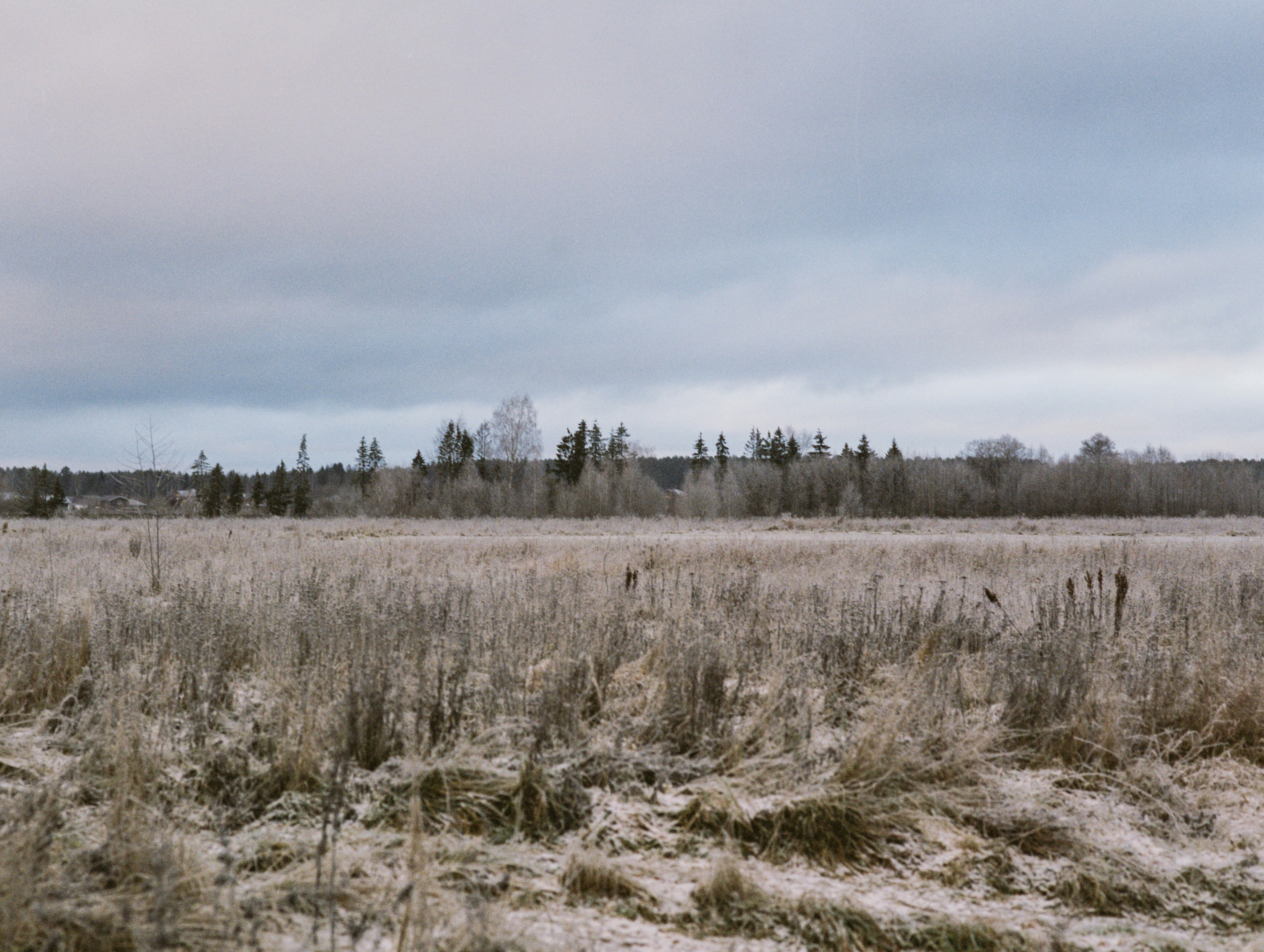 Photo by evil_bumblebee