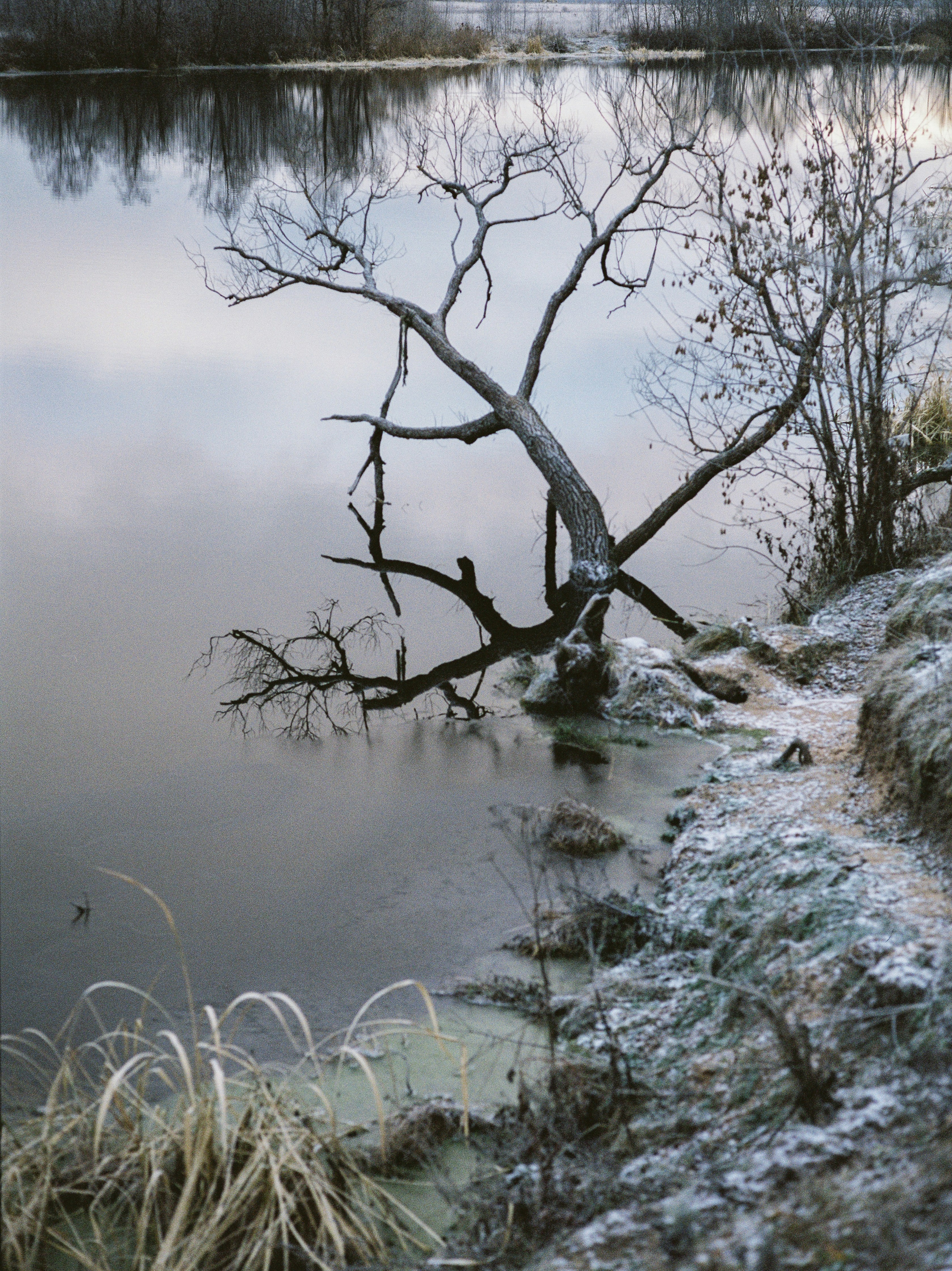 Photo by evil_bumblebee