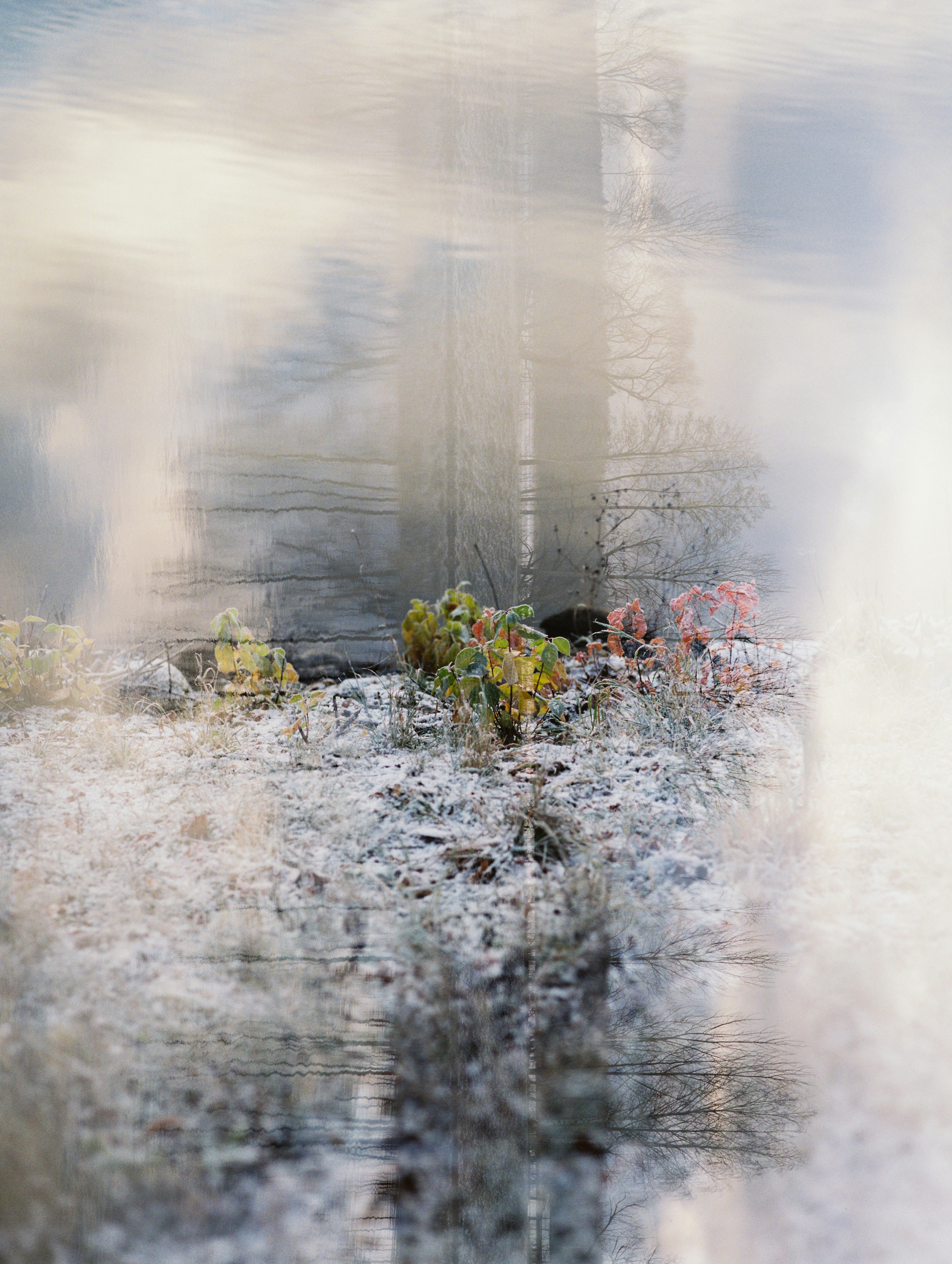 Photo by evil_bumblebee