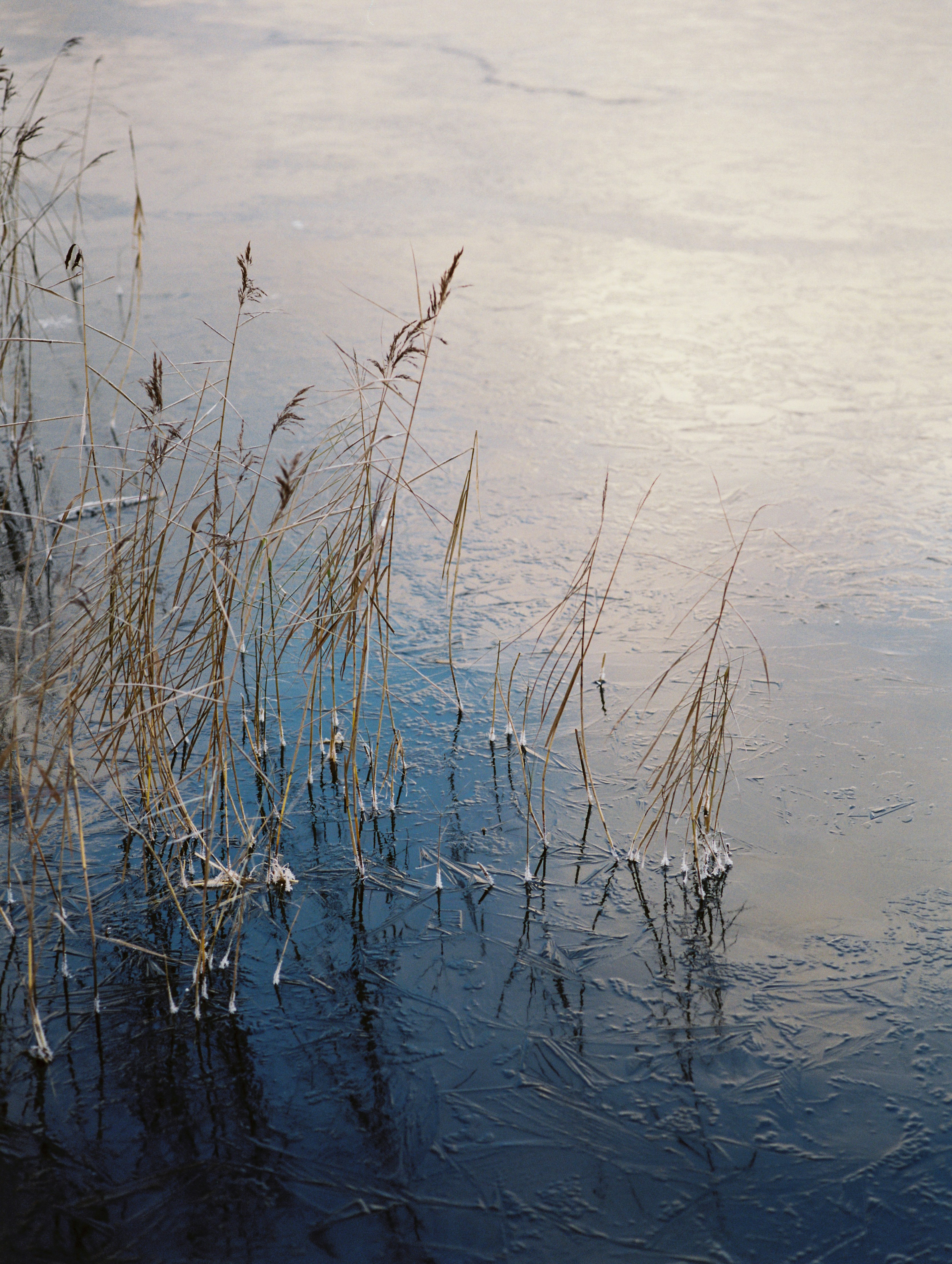 Photo by evil_bumblebee