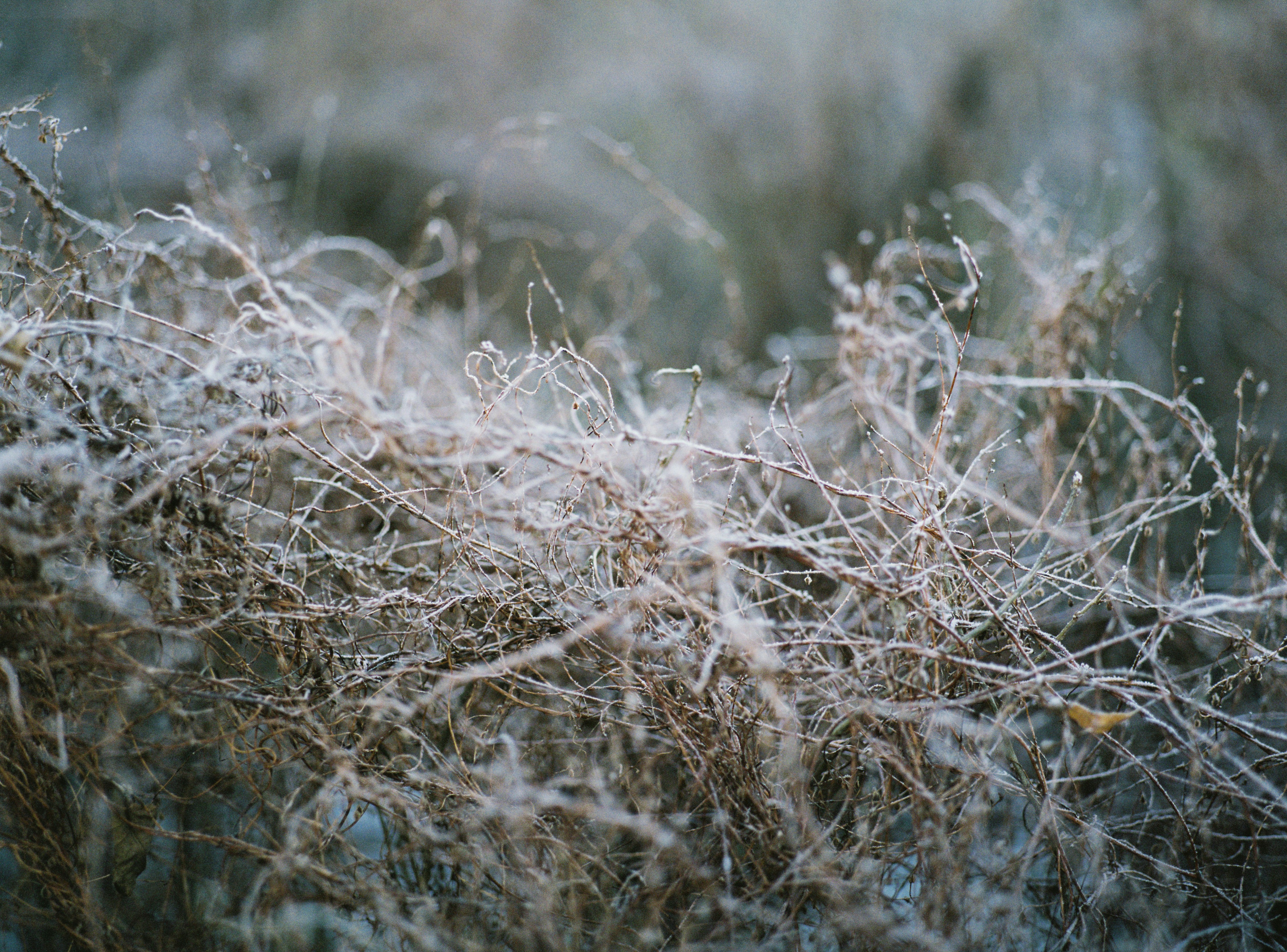 Photo by evil_bumblebee