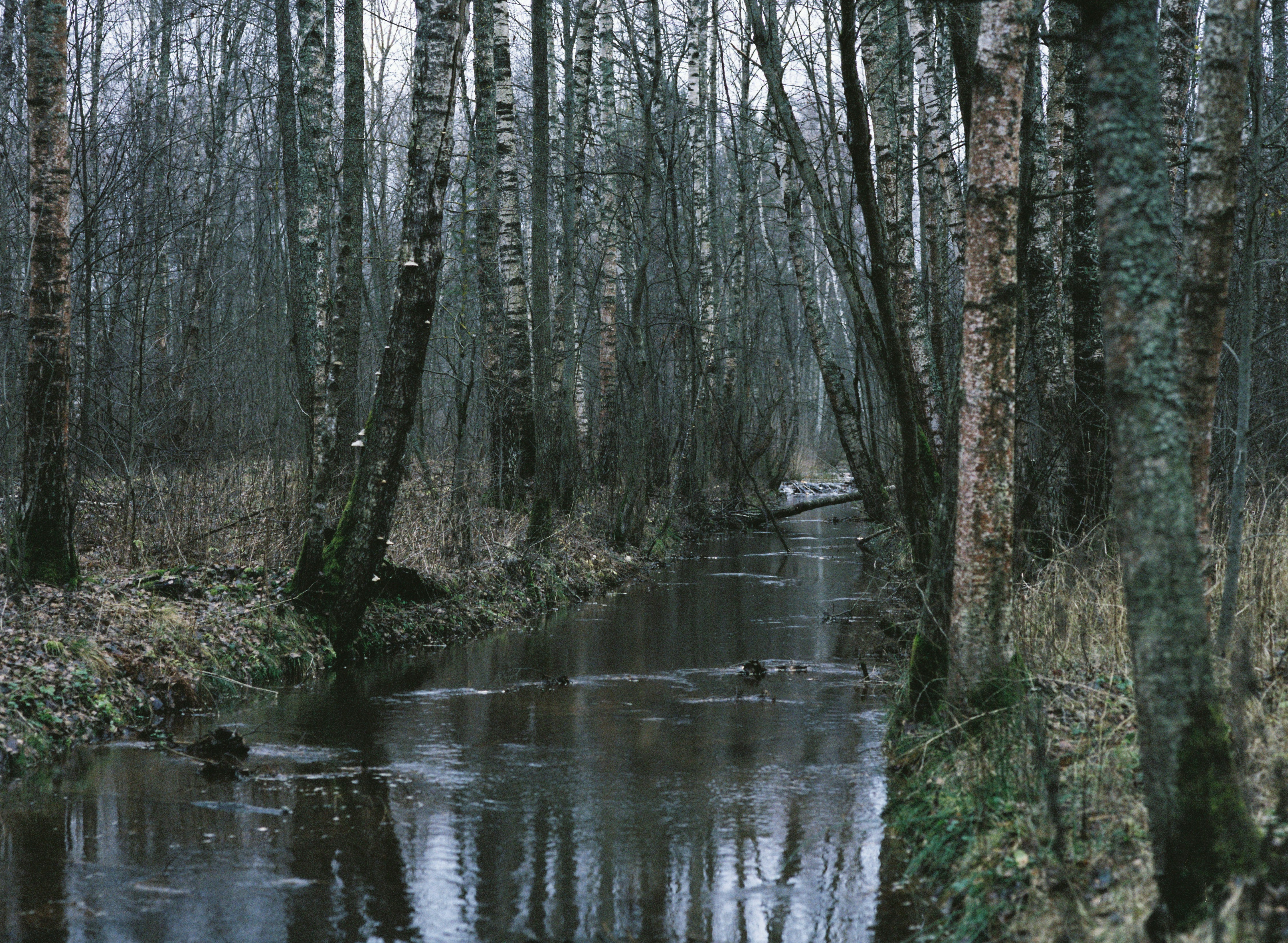 Photo by evil_bumblebee