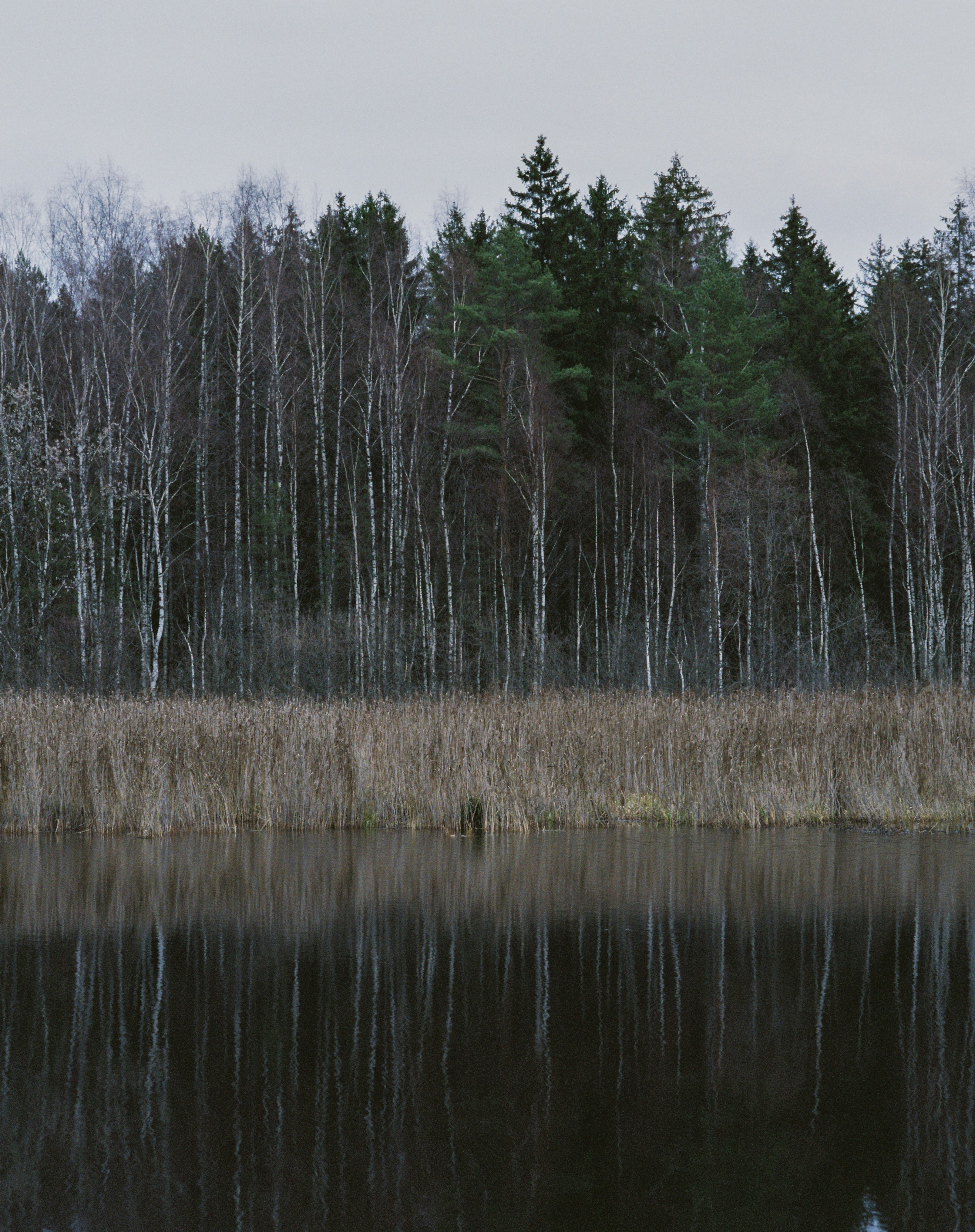 Photo by evil_bumblebee