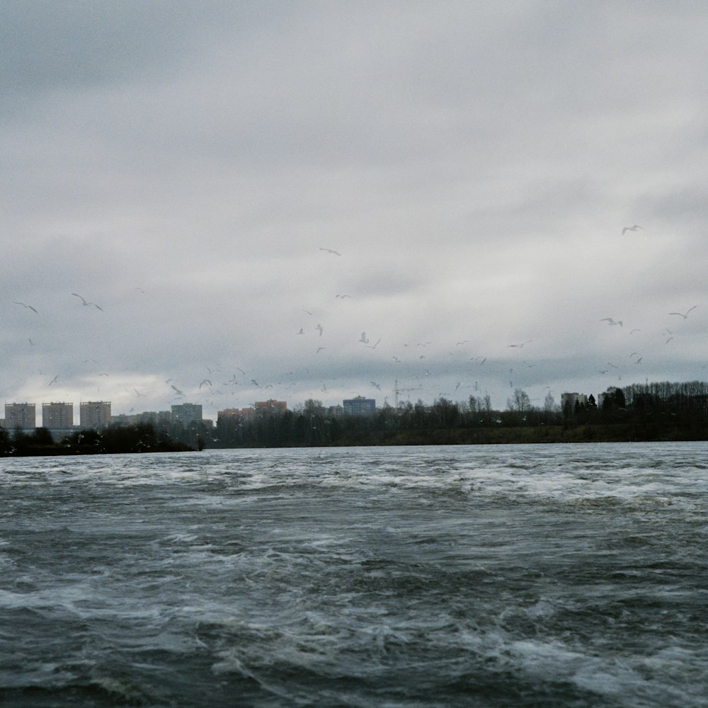 a large body of water with birds flying over it