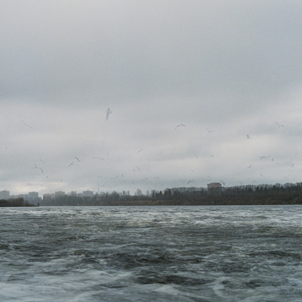a large body of water with birds flying over it