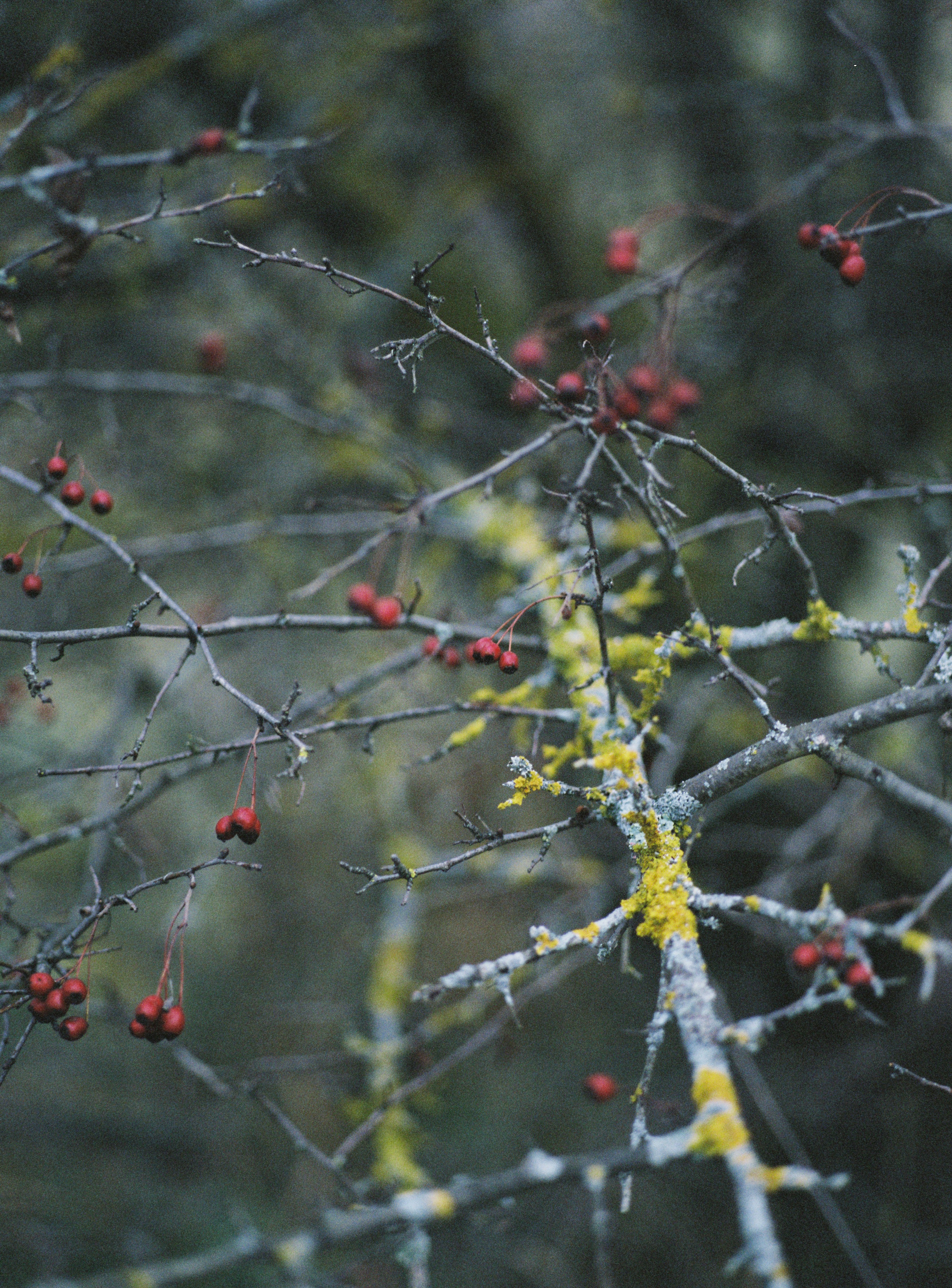 Photo by evil_bumblebee