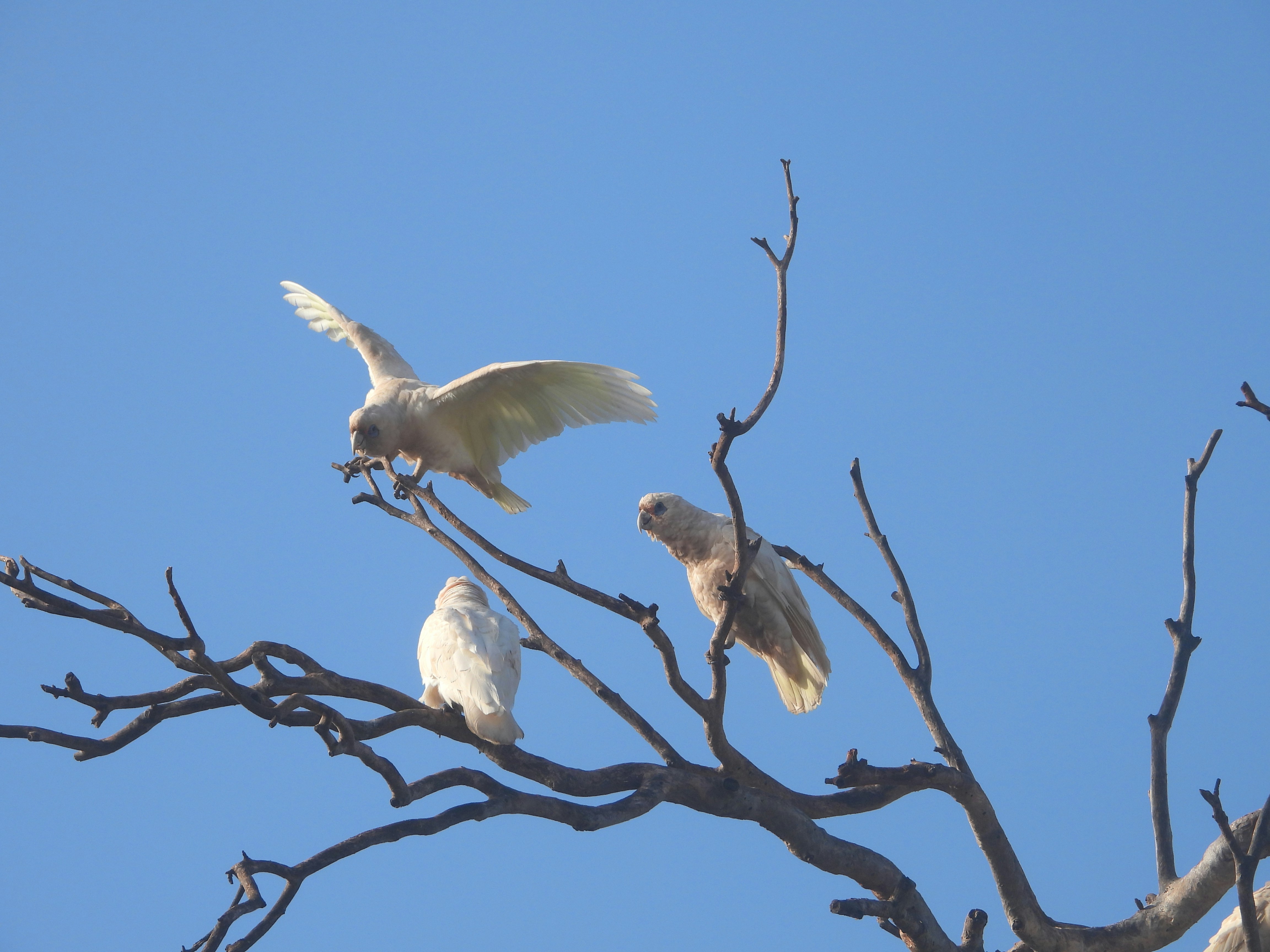 Photo by jessicadonnelly