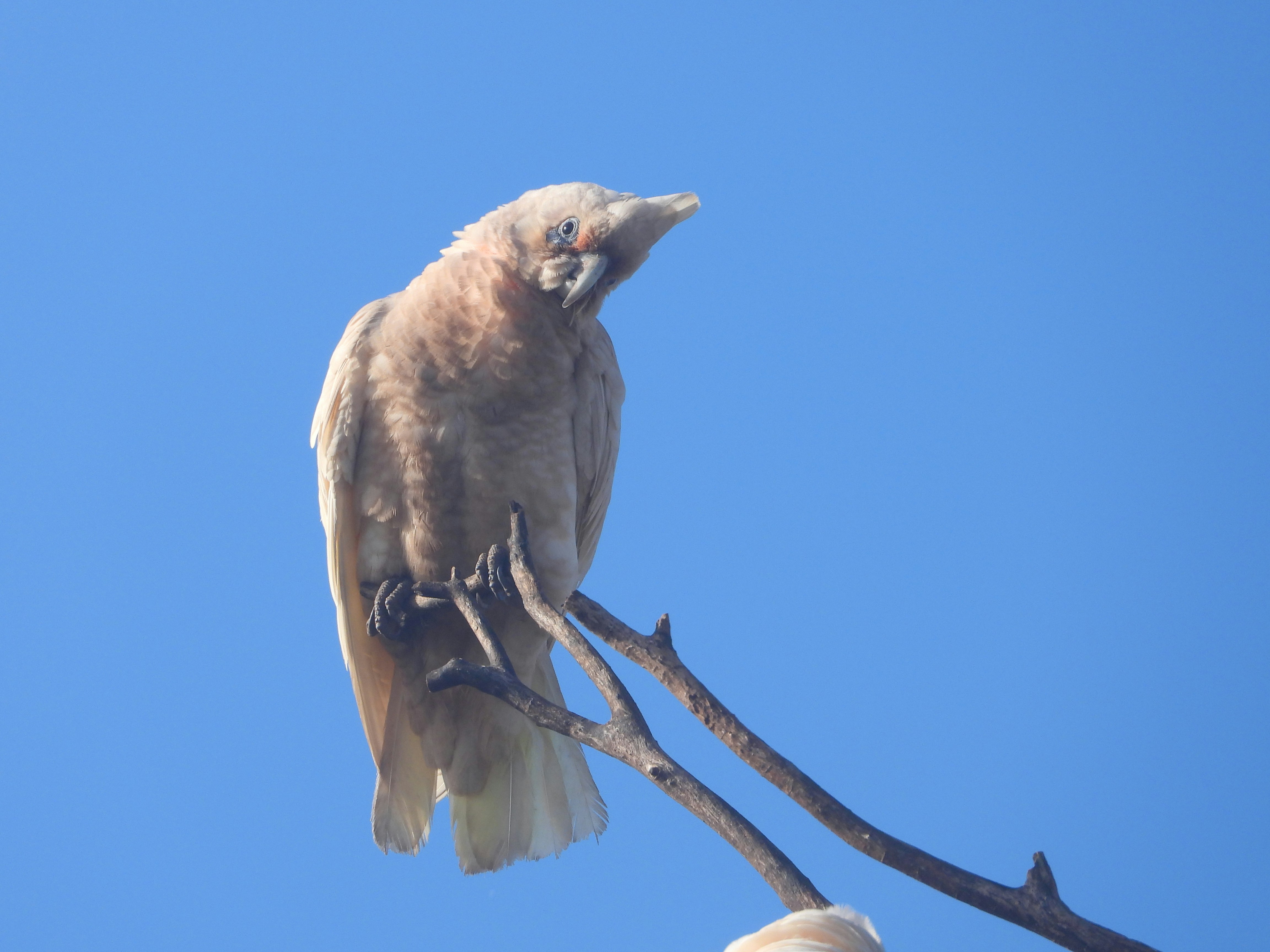 Photo by jessicadonnelly