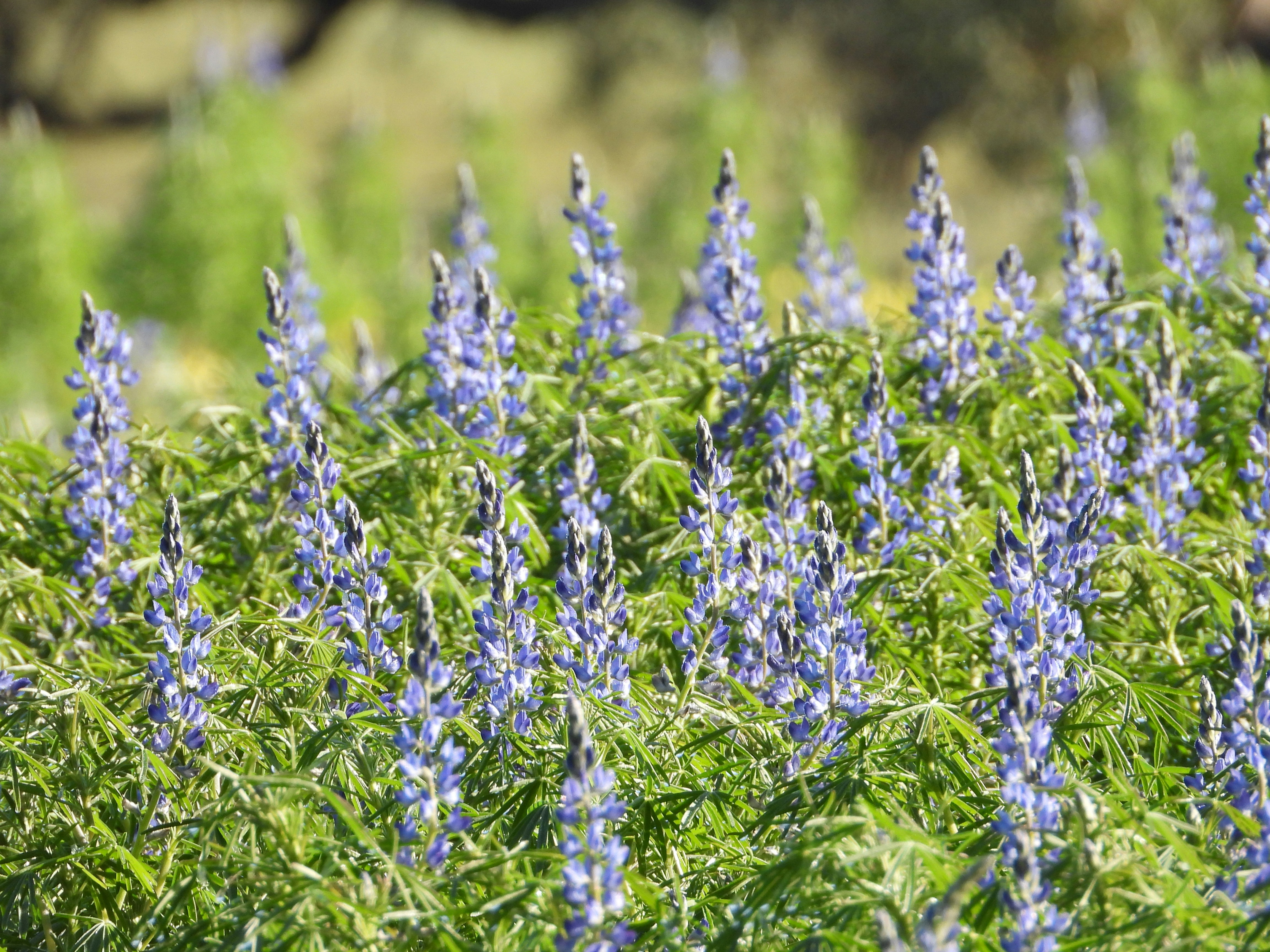 Photo by jessicadonnelly