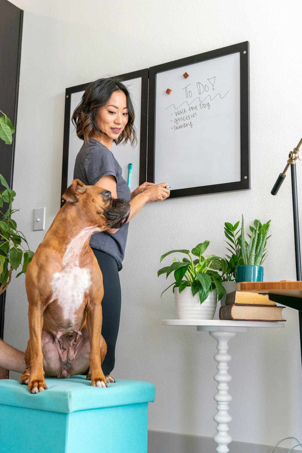 a woman brushing her dog's teeth with a toothbrush