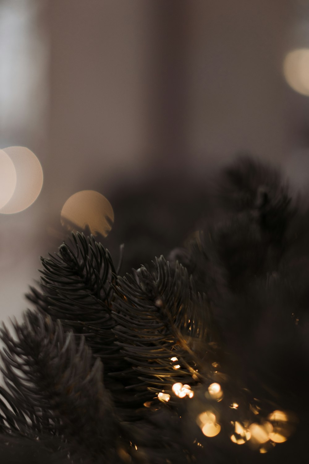 a close up of a christmas tree with lights in the background