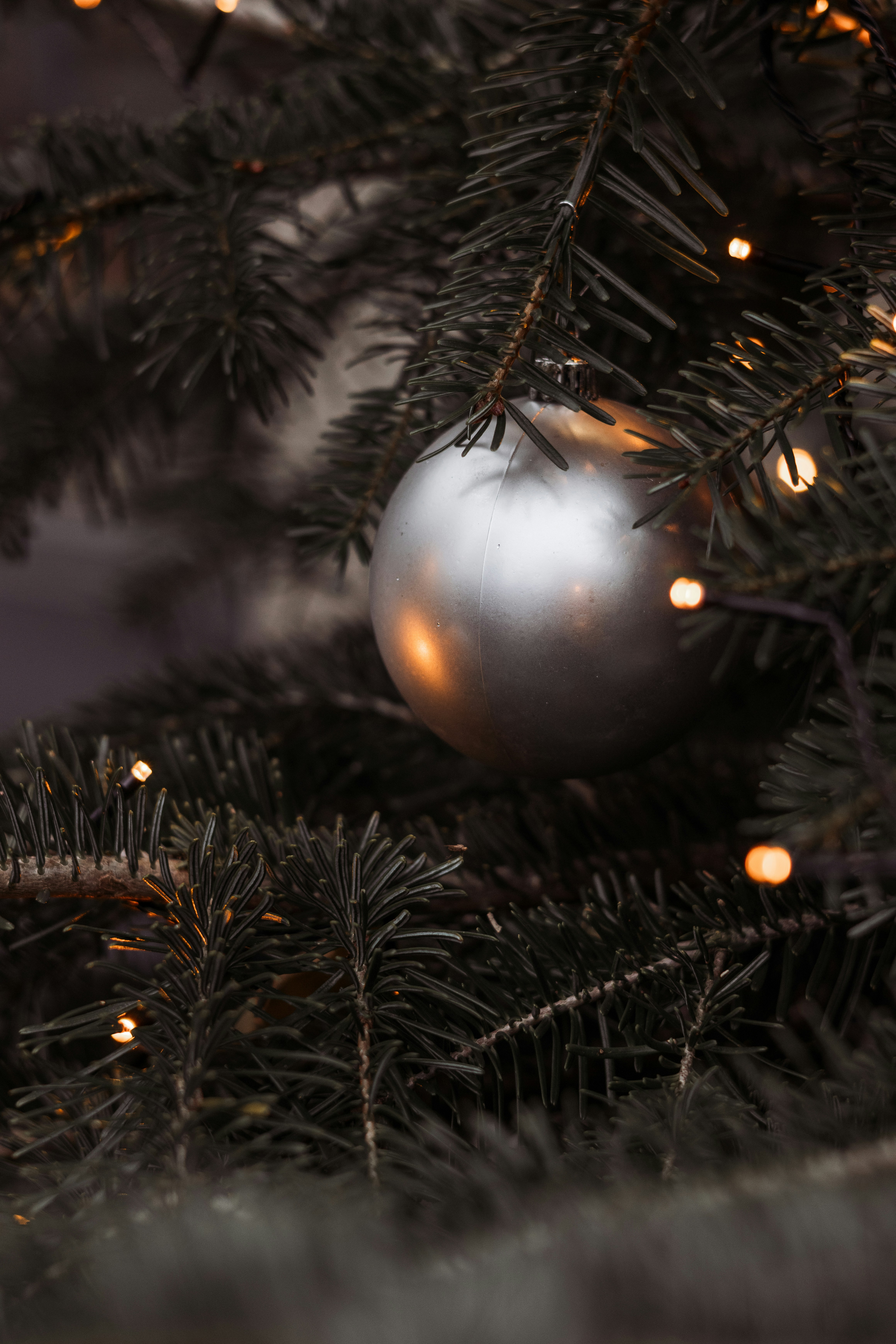 A silver ornament hanging from a christmas tree photo Free Grey Image