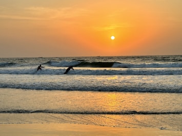 Surfers catching gentle waves under a golden sunset on a Moroccan beach.