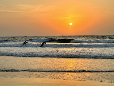 Guests enjoying a sunset surf session on gentle ocean waves near the hostel.