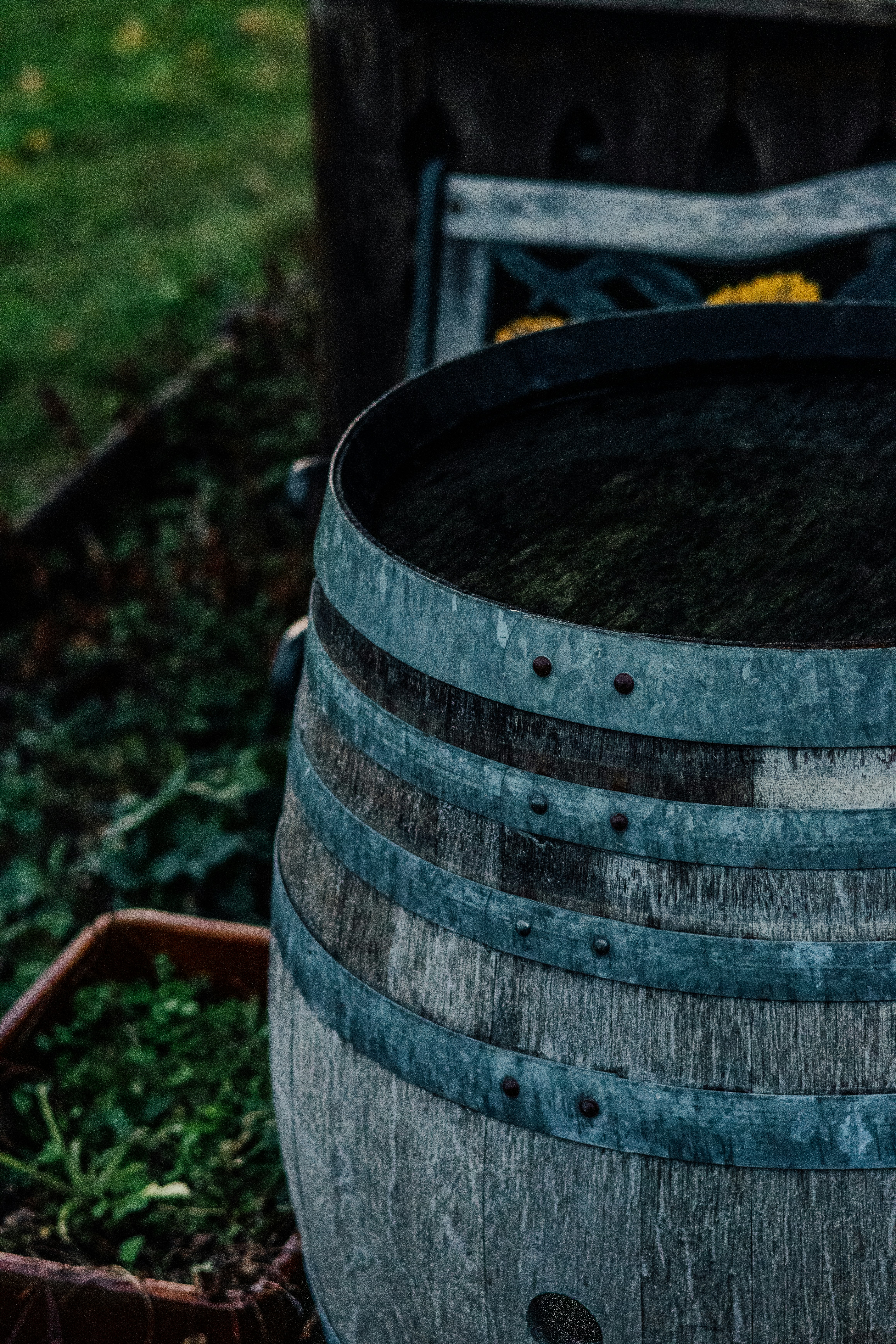 Photo by janisringli