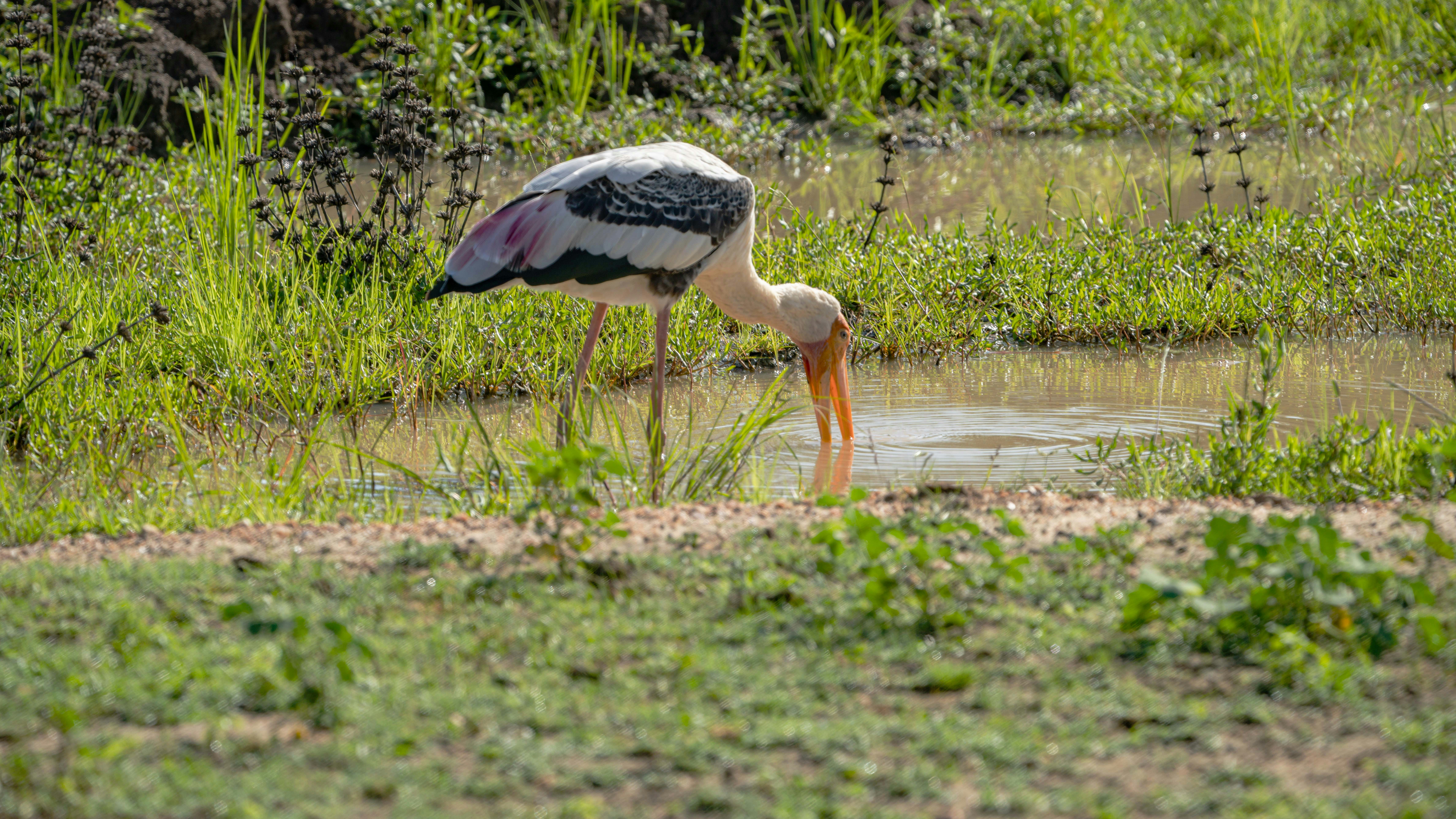 Photo by mhphotography13